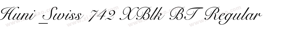 Huni_Swiss 742 XBlk BT Regular字体转换